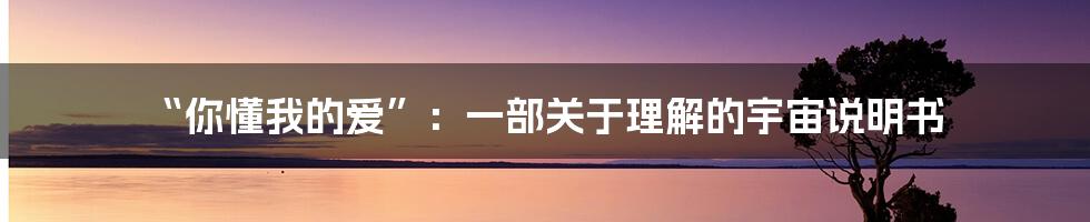“你懂我的爱”:一部关于理解的宇宙说明书