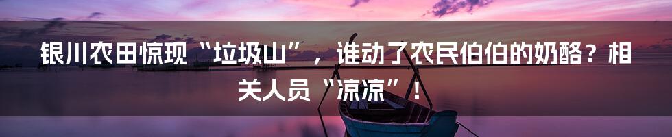 银川农田惊现“垃圾山”,谁动了农民伯伯的奶酪?相关人员“凉凉”!