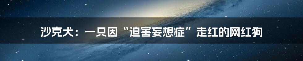 沙克犬:一只因“迫害妄想症”走红的网红狗