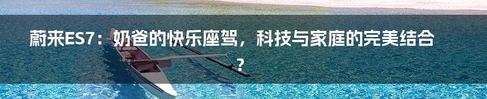 蔚来ES7:奶爸的快乐座驾,科技与家庭的完美结合?