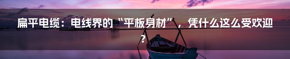 扁平电缆：电线界的“平板身材”，凭什么这么受欢迎？