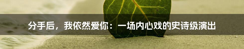 分手后，我依然爱你：一场内心戏的史诗级演出
