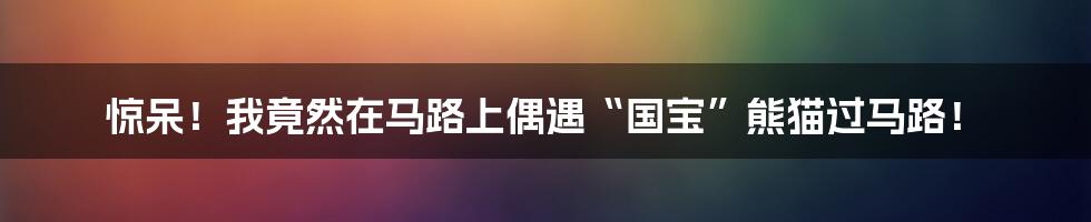 惊呆!我竟然在马路上偶遇“国宝”熊猫过马路!