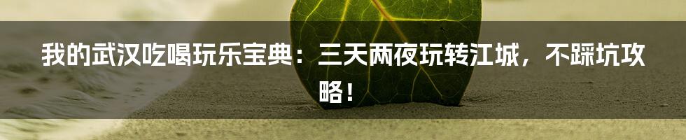 我的武汉吃喝玩乐宝典：三天两夜玩转江城，不踩坑攻略！