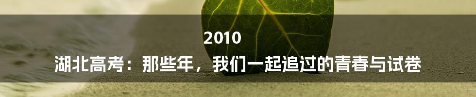 2010 湖北高考:那些年,我们一起追过的青春与试卷