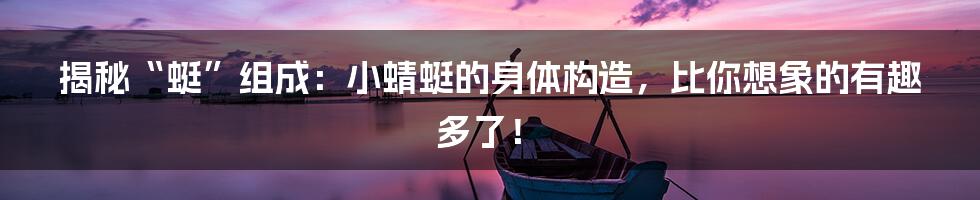 揭秘“蜓”组成:小蜻蜓的身体构造,比你想象的有趣多了!