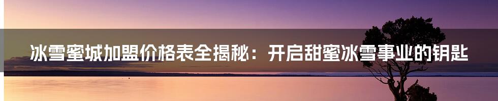 冰雪蜜城加盟价格表全揭秘:开启甜蜜冰雪事业的钥匙