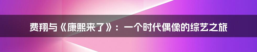 费翔与《康熙来了》:一个时代偶像的综艺之旅