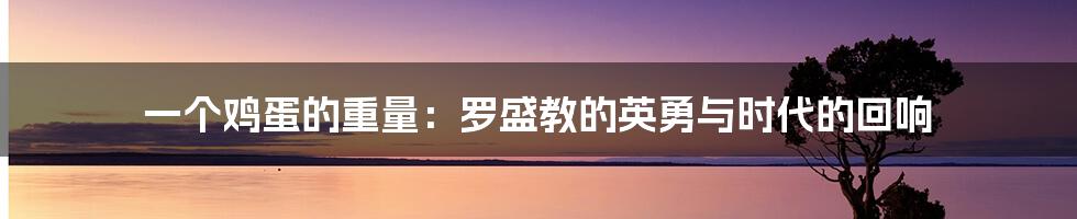 一个鸡蛋的重量:罗盛教的英勇与时代的回响