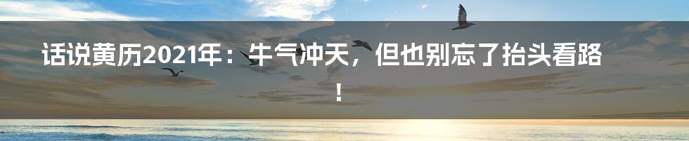 话说黄历2021年:牛气冲天,但也别忘了抬头看路!
