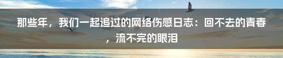 那些年,我们一起追过的网络伤感日志:回不去的青春,流不完的眼泪