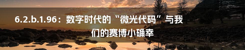 6.2.b.1.96：数字时代的“微光代码”与我们的赛博小确幸
