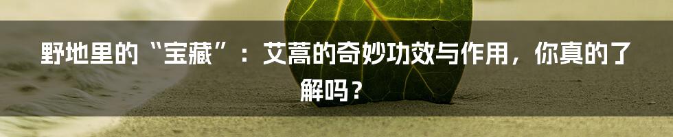 野地里的“宝藏”：艾蒿的奇妙功效与作用，你真的了解吗？