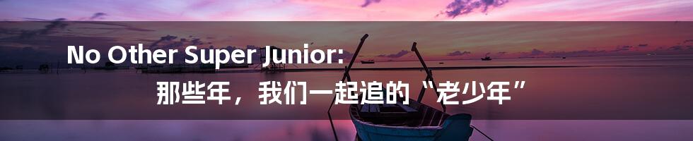 No Other Super Junior: 那些年，我们一起追的“老少年”