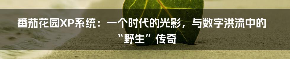 番茄花园XP系统：一个时代的光影，与数字洪流中的“野生”传奇