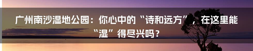 广州南沙湿地公园：你心中的“诗和远方”，在这里能“湿”得尽兴吗？