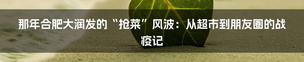 那年合肥大润发的“抢菜”风波：从超市到朋友圈的战疫记