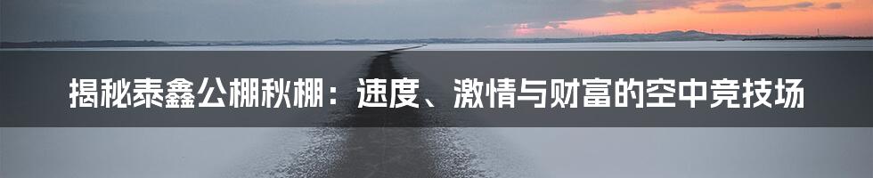 揭秘泰鑫公棚秋棚：速度、激情与财富的空中竞技场