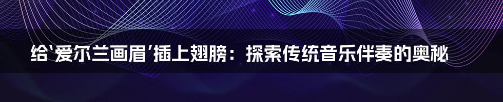 给‘爱尔兰画眉’插上翅膀：探索传统音乐伴奏的奥秘