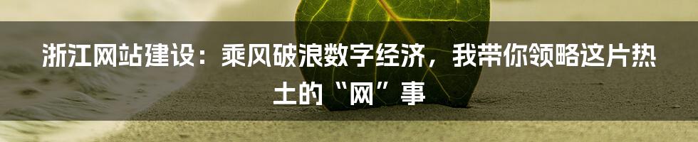 浙江网站建设：乘风破浪数字经济，我带你领略这片热土的“网”事