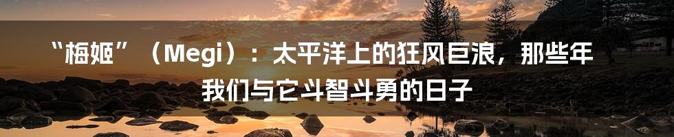 “梅姬”（Megi）：太平洋上的狂风巨浪，那些年我们与它斗智斗勇的日子