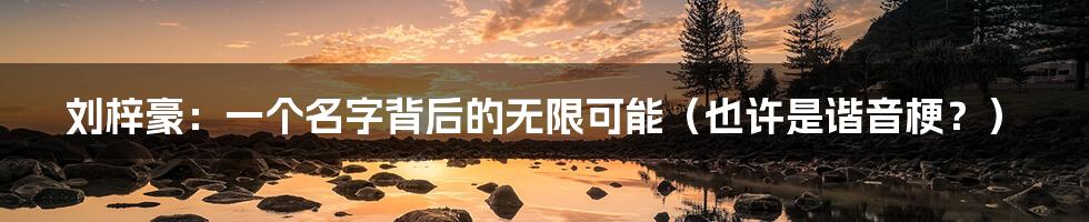 刘梓豪：一个名字背后的无限可能（也许是谐音梗？）