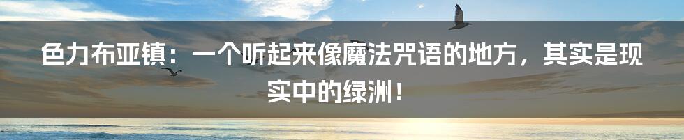 色力布亚镇：一个听起来像魔法咒语的地方，其实是现实中的绿洲！