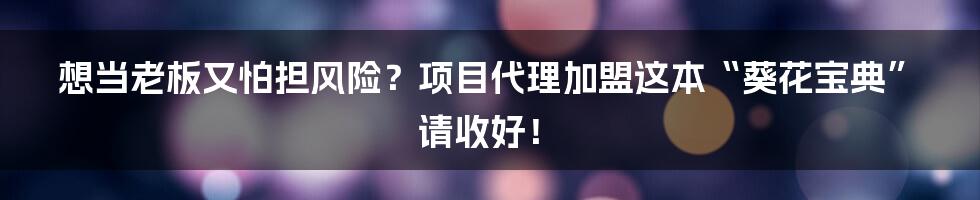 想当老板又怕担风险？项目代理加盟这本“葵花宝典”请收好！
