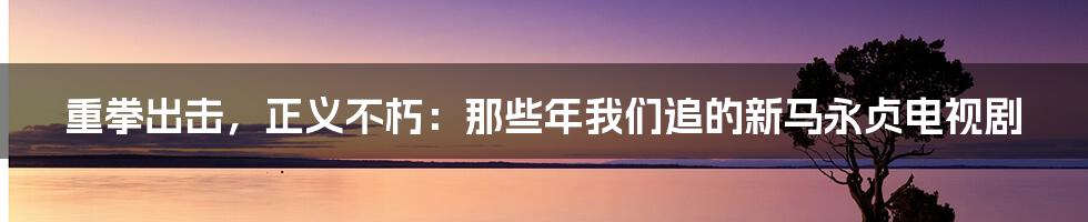 重拳出击，正义不朽：那些年我们追的新马永贞电视剧