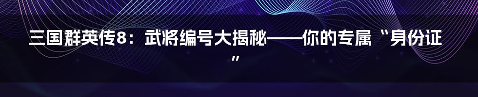 三国群英传8：武将编号大揭秘——你的专属“身份证”
