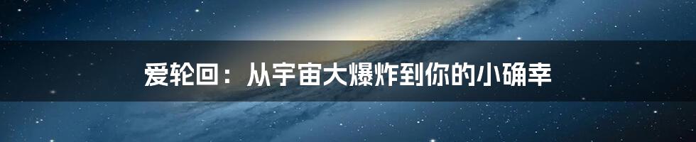 爱轮回：从宇宙大爆炸到你的小确幸