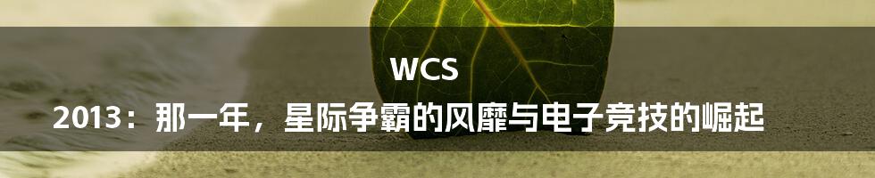WCS 2013：那一年，星际争霸的风靡与电子竞技的崛起