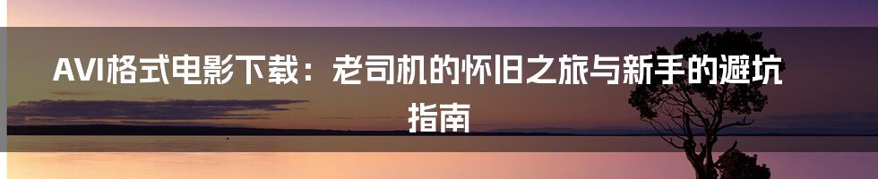 AVI格式电影下载：老司机的怀旧之旅与新手的避坑指南