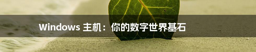Windows 主机：你的数字世界基石