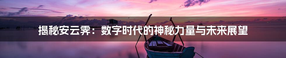 揭秘安云霁：数字时代的神秘力量与未来展望
