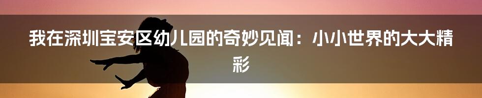我在深圳宝安区幼儿园的奇妙见闻：小小世界的大大精彩