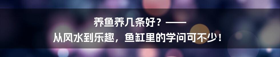 养鱼养几条好？—— 从风水到乐趣，鱼缸里的学问可不少！