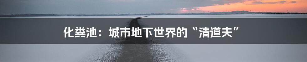 化粪池：城市地下世界的“清道夫”