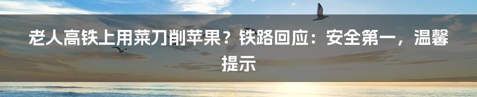 老人高铁上用菜刀削苹果？铁路回应：安全第一，温馨提示