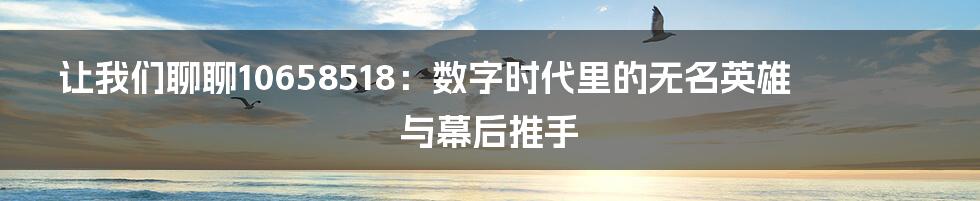 让我们聊聊10658518:数字时代里的无名英雄与幕后推手