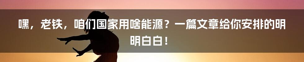 嘿，老铁，咱们国家用啥能源？一篇文章给你安排的明明白白！