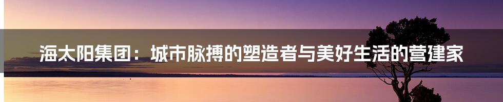 海太阳集团:城市脉搏的塑造者与美好生活的营建家