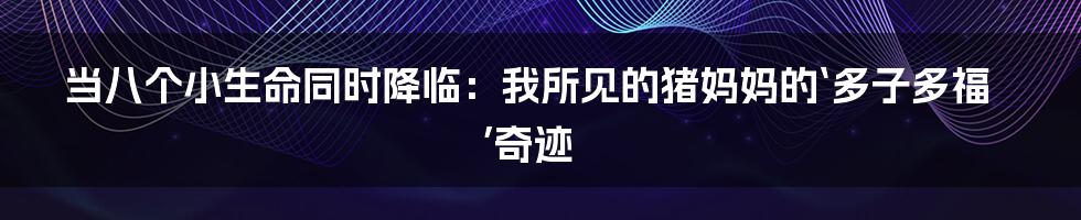 当八个小生命同时降临:我所见的猪妈妈的‘多子多福’奇迹