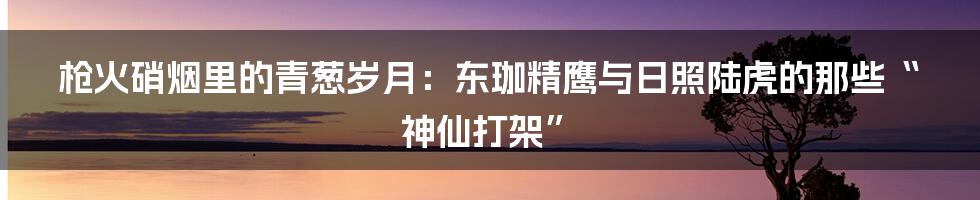 枪火硝烟里的青葱岁月:东珈精鹰与日照陆虎的那些“神仙打架”