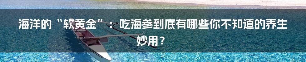 海洋的“软黄金”:吃海参到底有哪些你不知道的养生妙用?