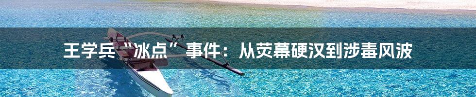 王学兵“冰点”事件:从荧幕硬汉到涉毒风波