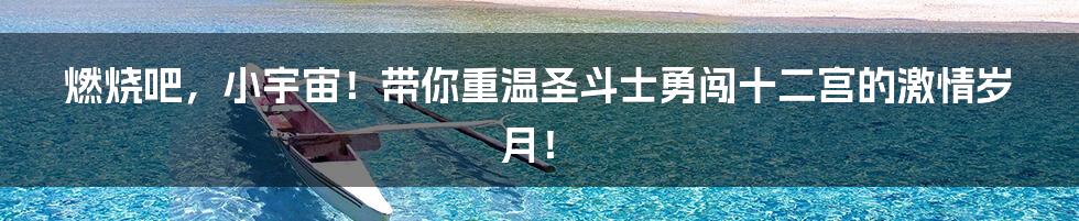 燃烧吧,小宇宙!带你重温圣斗士勇闯十二宫的激情岁月!