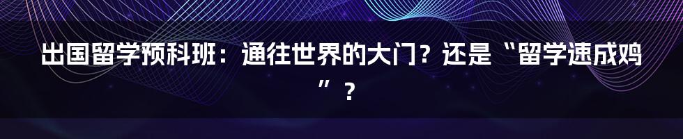 出国留学预科班：通往世界的大门？还是“留学速成鸡”？
