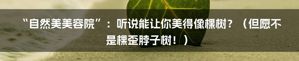 “自然美美容院”:听说能让你美得像棵树?(但愿不是棵歪脖子树!)
