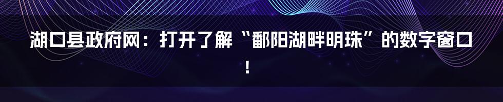 湖口县政府网:打开了解“鄱阳湖畔明珠”的数字窗口!